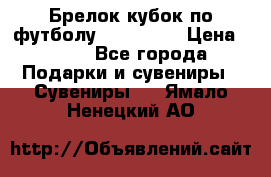 Брелок кубок по футболу Fifa 2018 › Цена ­ 399 - Все города Подарки и сувениры » Сувениры   . Ямало-Ненецкий АО